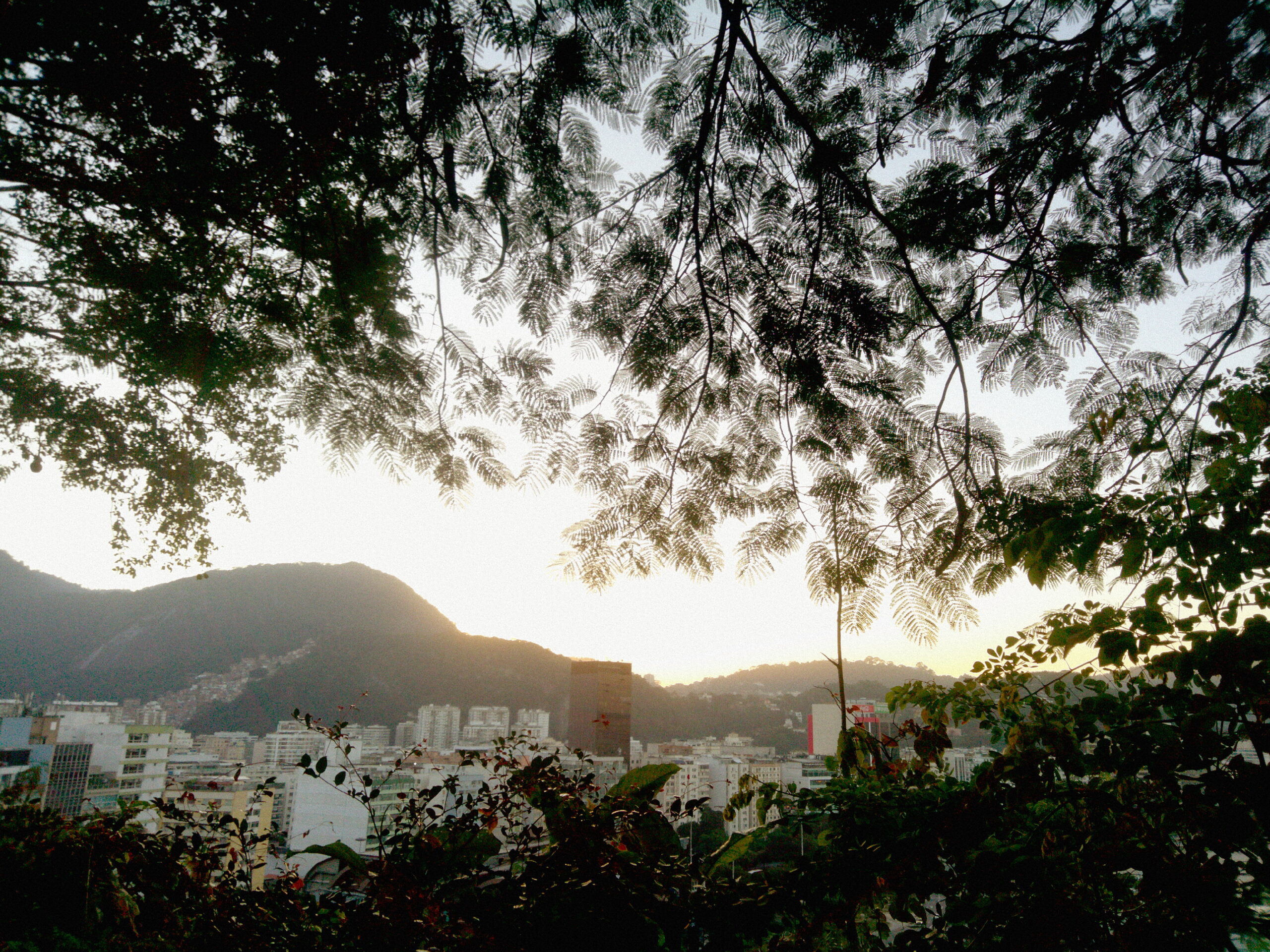 Pasmado