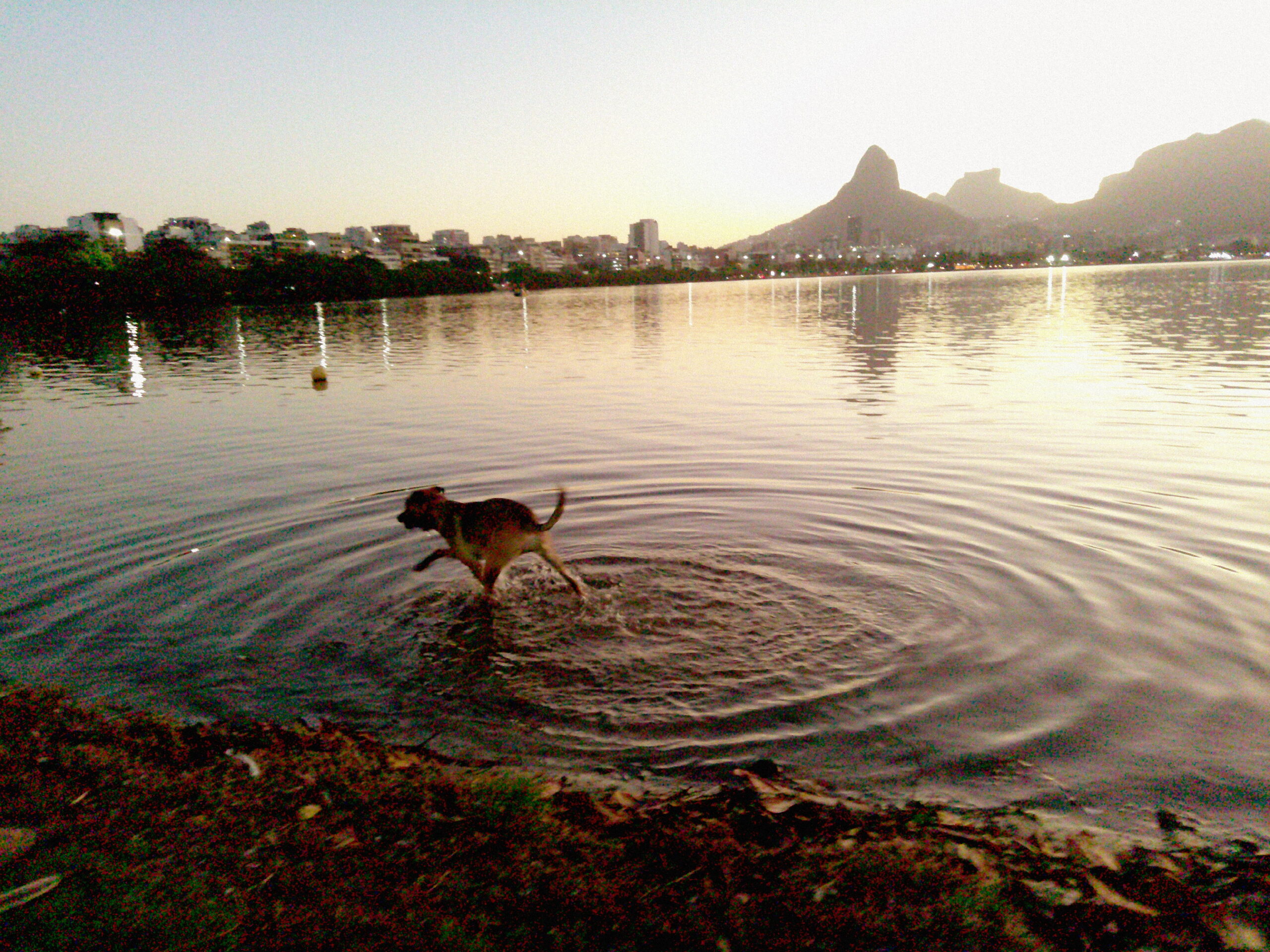De boa na lagoa